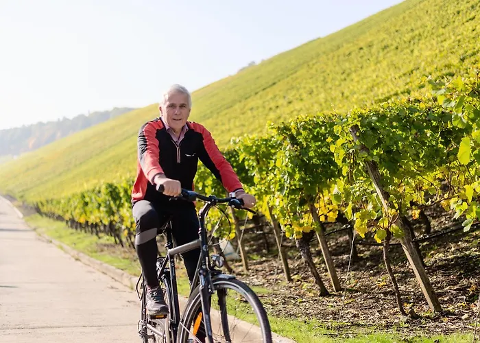 Penzion Domizil Nunn Escherndorf