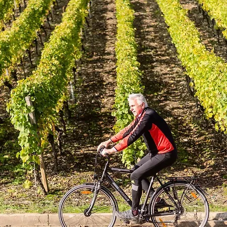 Domizil Nunn 3* Escherndorf